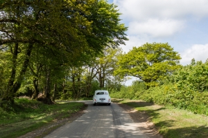cornwall-wedding-boconnoc
