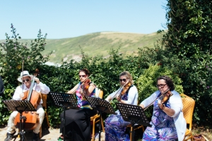 cornwall-wedding-polhawn