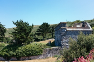 cornwall-wedding-polhawn