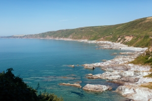 polhawn-fort-wedding